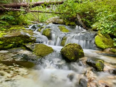 Creek along the trail