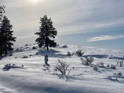 Nearing the top of Chelan Butte