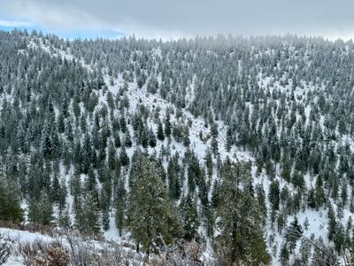 Looking at the ridge from the road