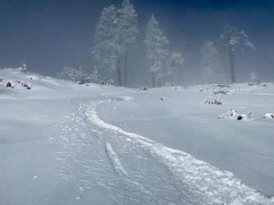 Powder turns near the top