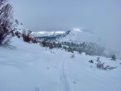 My skin track up the side of Fourth of July Mountain