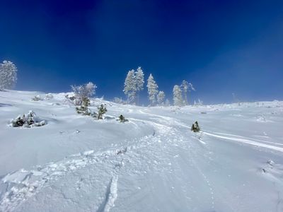 Ski tracks from second descent