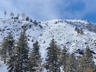 Final look at the gully I skied