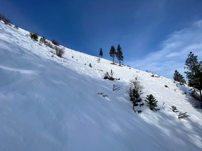 Heading up directly from the Sno Park