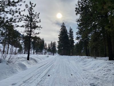 Finally reaching the forest service road