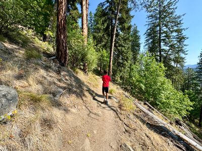 Switchbacks on the trail