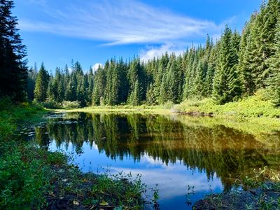 Beaver Lake