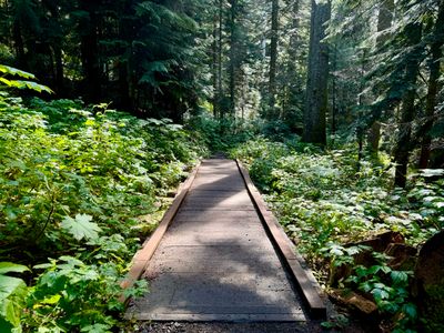 Pacific Crest Trail