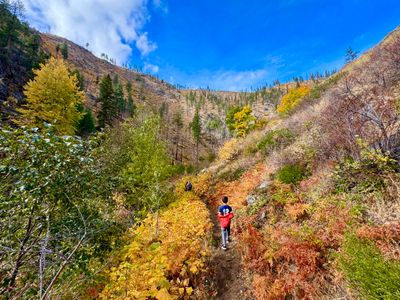 My son on the Mad River Trail