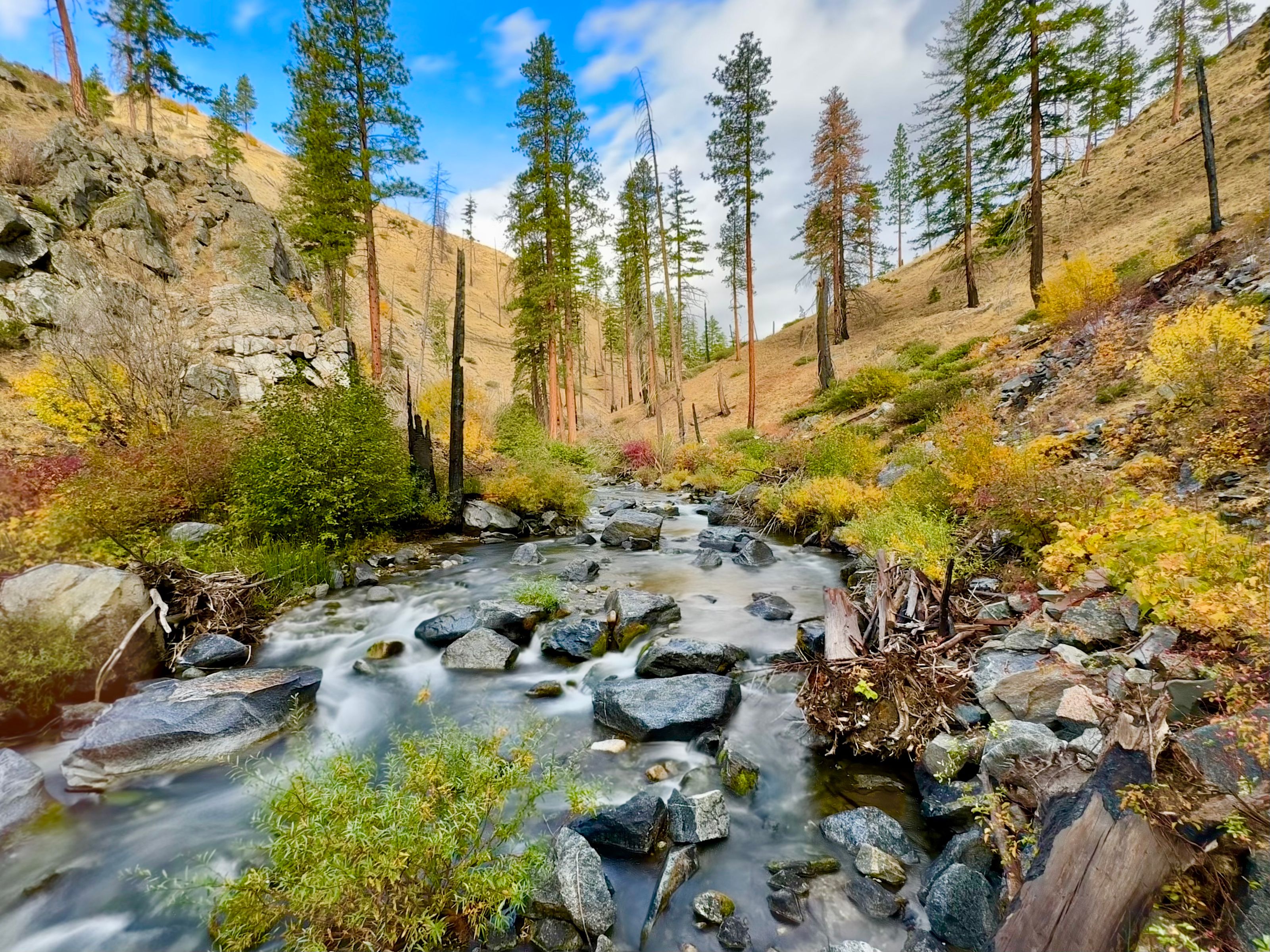 Hiking