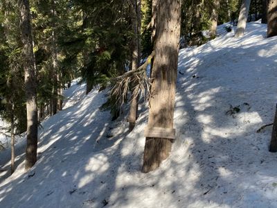 Lake Ann trail