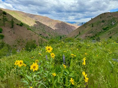 Mills Canyon