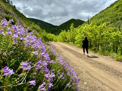 Entiat Ridge Road