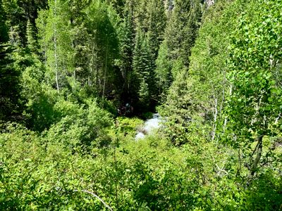 Looking down at the trail