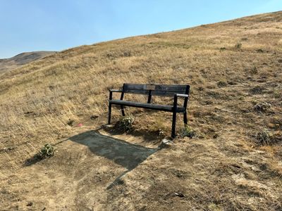 Bench near Snakebite trail