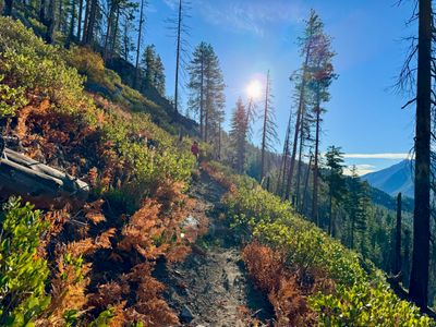 Upper section of the trail