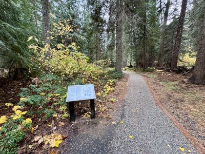 Interpretive sign along the trail