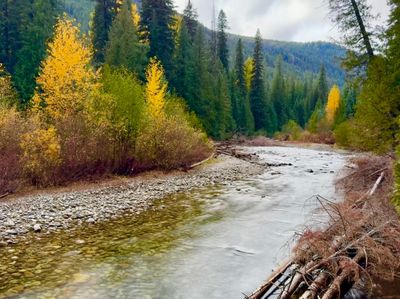 Silver Falls Interpretive Trail