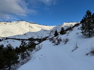 On Antilon Creek Forest Service Road