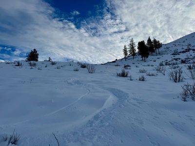 South Goff Ridge