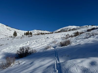 Following my exit track up towards Antilon Creek Forest Service Road